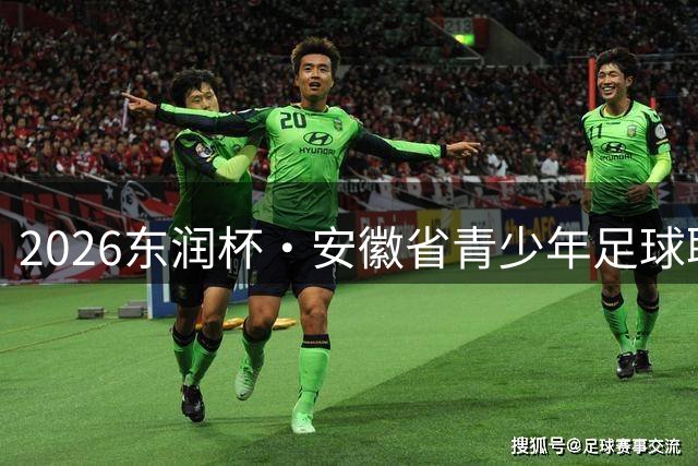 2026东润杯・安徽省青少年足球联赛圆满举行